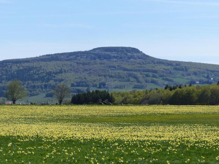 terres de france le domaine des vans