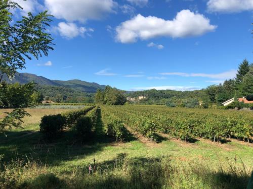 terres de france le domaine des vans
