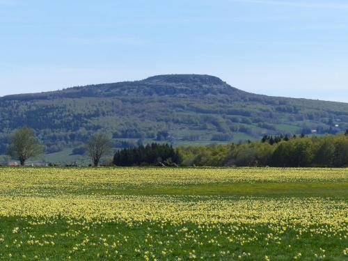 Terres De France - Le Domaine Des Vans,Near Ceven Aventure,3 star