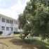 adulo apartments