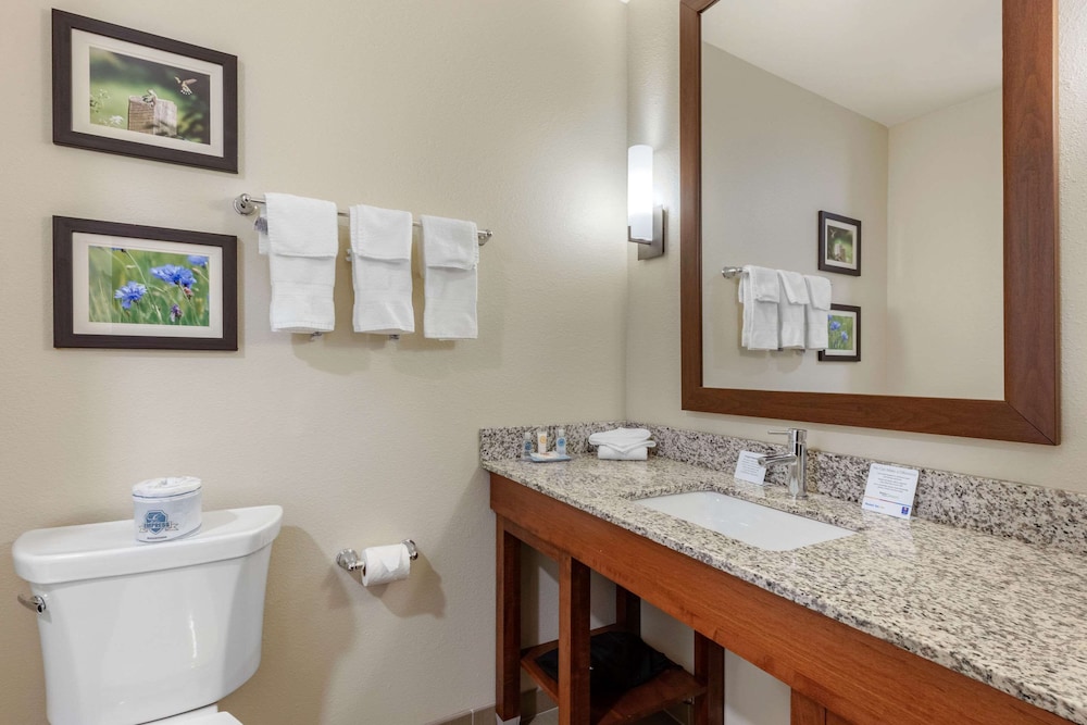 comfort inn white house