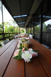 terrey hills