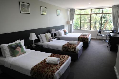 terrey hills