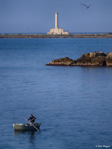 gallipoli