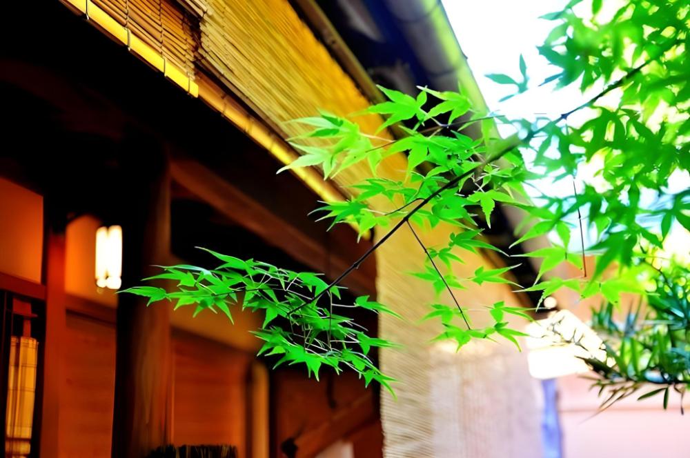 kyoto