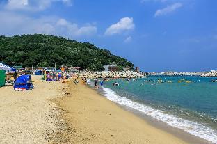 dream pension