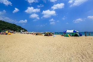dream pension