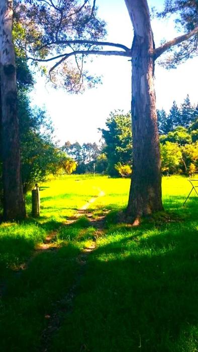 camp taringatura backpackers