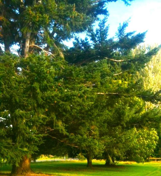 camp taringatura backpackers