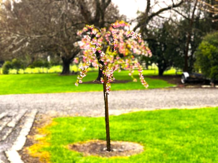 camp taringatura backpackers