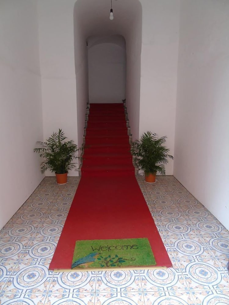 bed and breakfast phenicusa