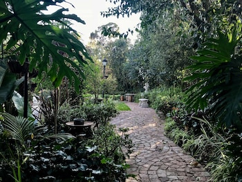 pepper tree bnb