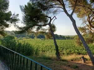 les rocailles
