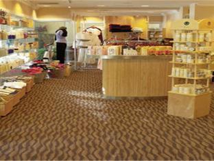 stoweflake mountain resort and spa