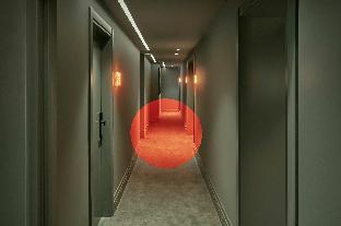 Chic & Basic Dot,Near Plaza Mayor,3 star