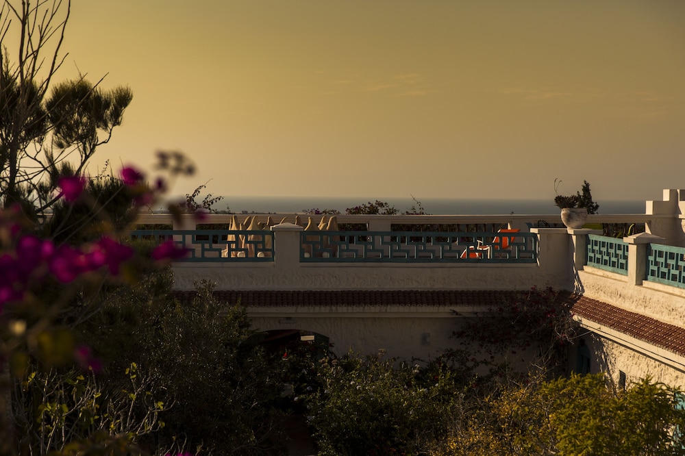 riad tamayourt ocean view