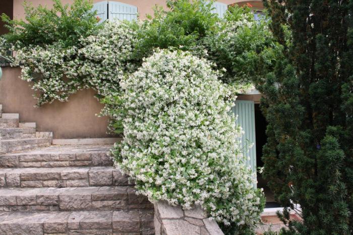 villa thebaide chambres dhotes