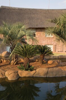 zebra nature reserve