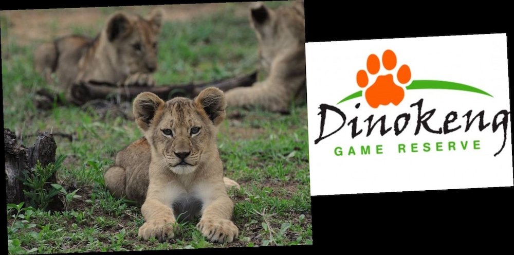 zebra nature reserve