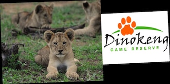 zebra nature reserve