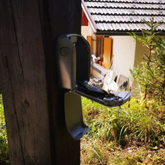 apartment crystal rose