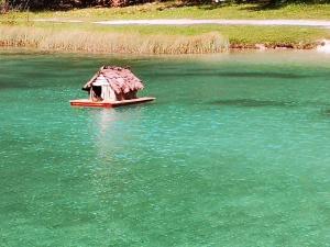 apartment crystal rose