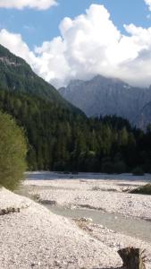 apartment crystal rose