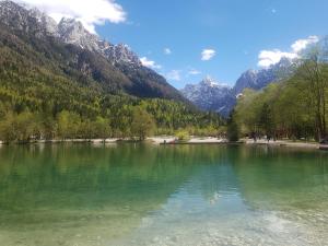 apartment crystal rose