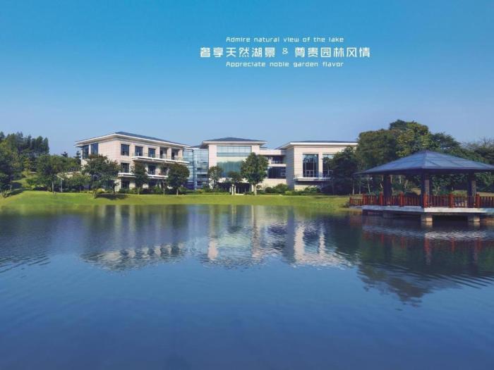 dongguan