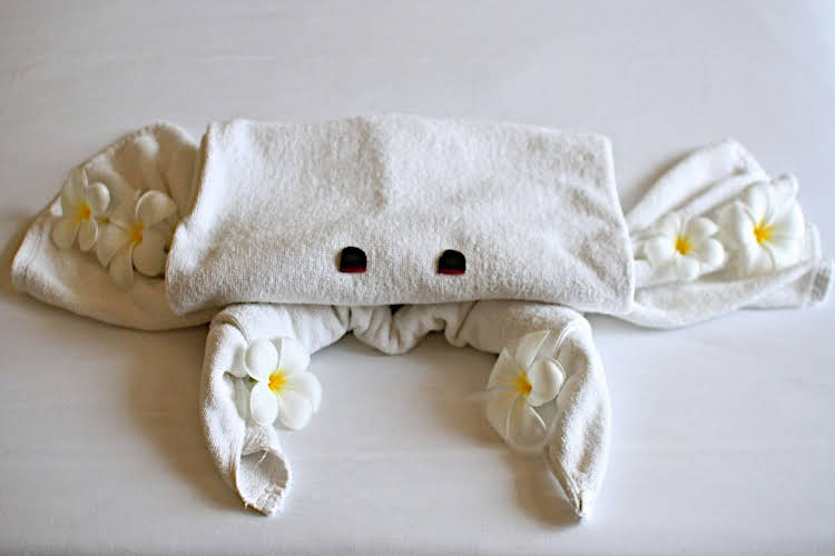 the hive hotel samui