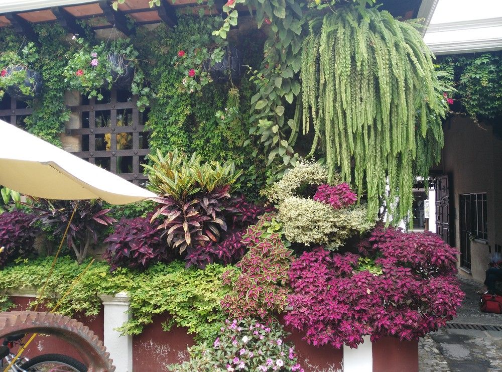 los olivos hotel boutique y restaurante