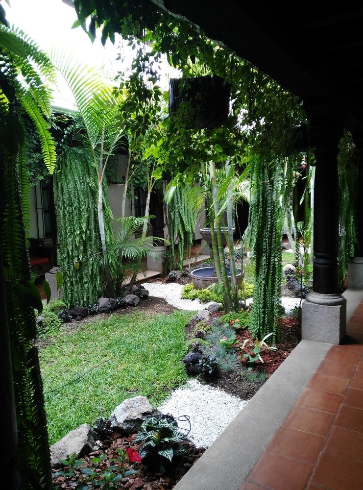 los olivos hotel boutique y restaurante