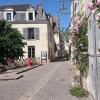 chinon