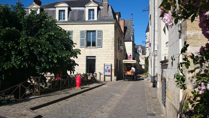 chinon
