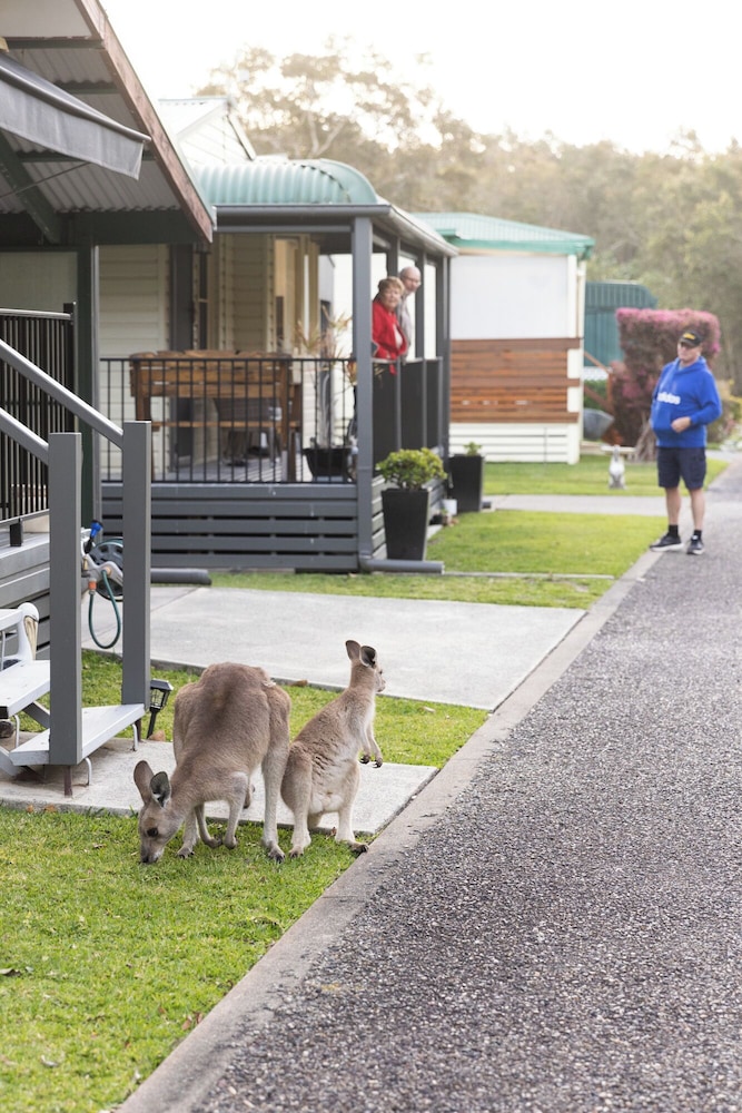 reflections holiday parks north haven