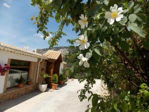 hotel rural puerto magina