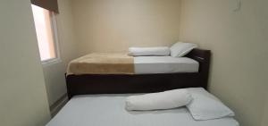 giant kost