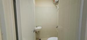 giant kost