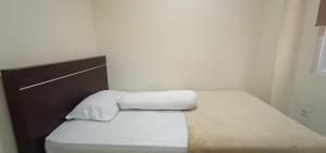 giant kost