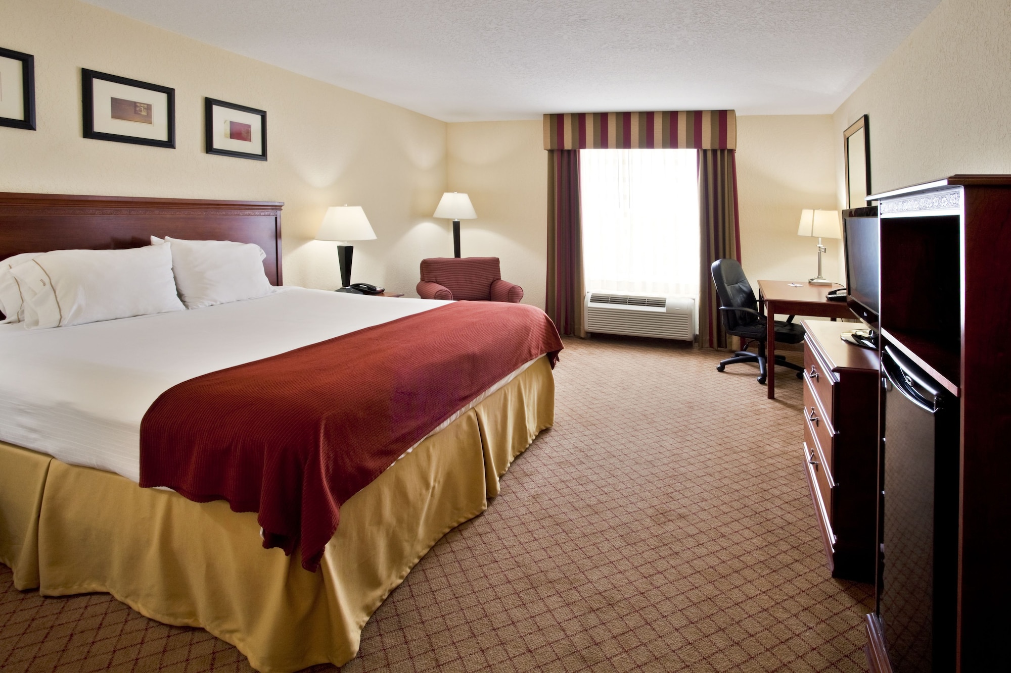 holiday inn express st petersburg north i 275 by ihg