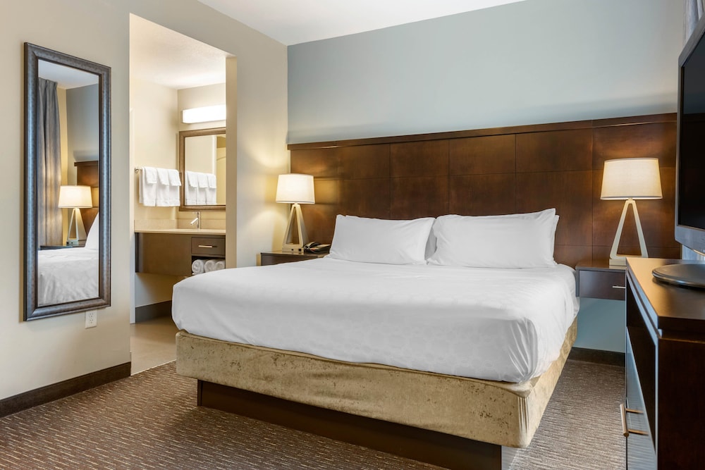 staybridge suites st petersburg downtown by ihg