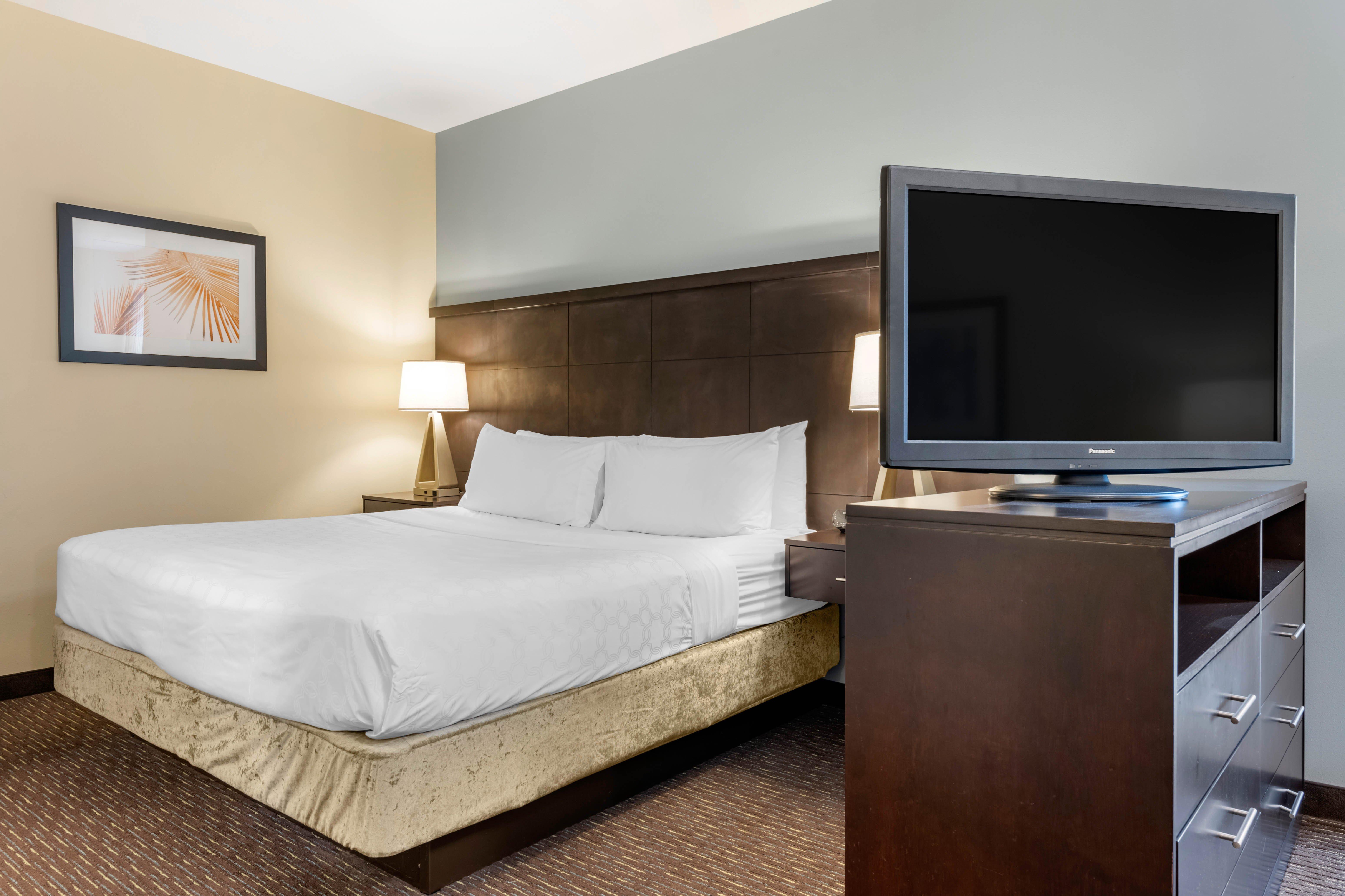 staybridge suites st petersburg downtown by ihg