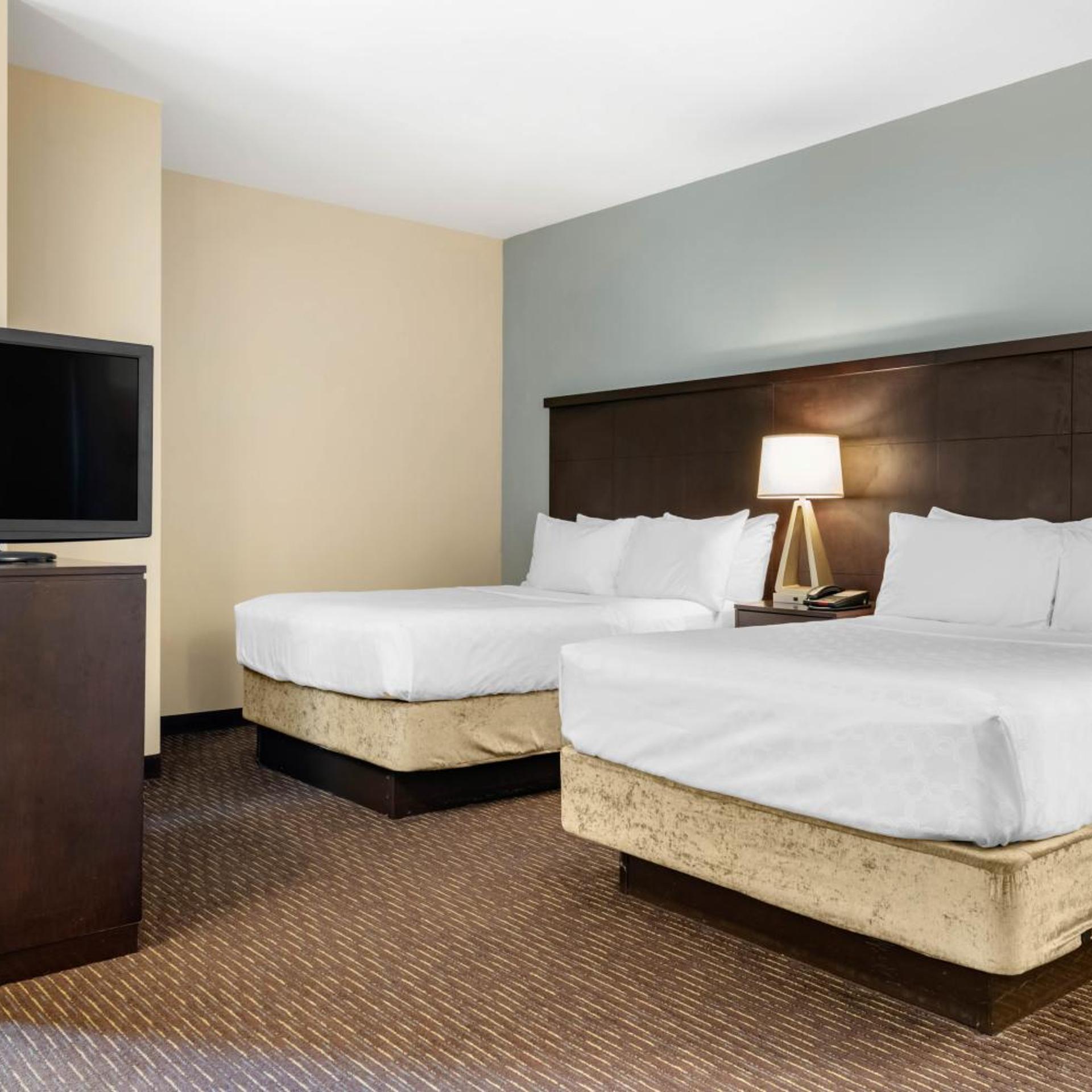 staybridge suites st petersburg downtown by ihg