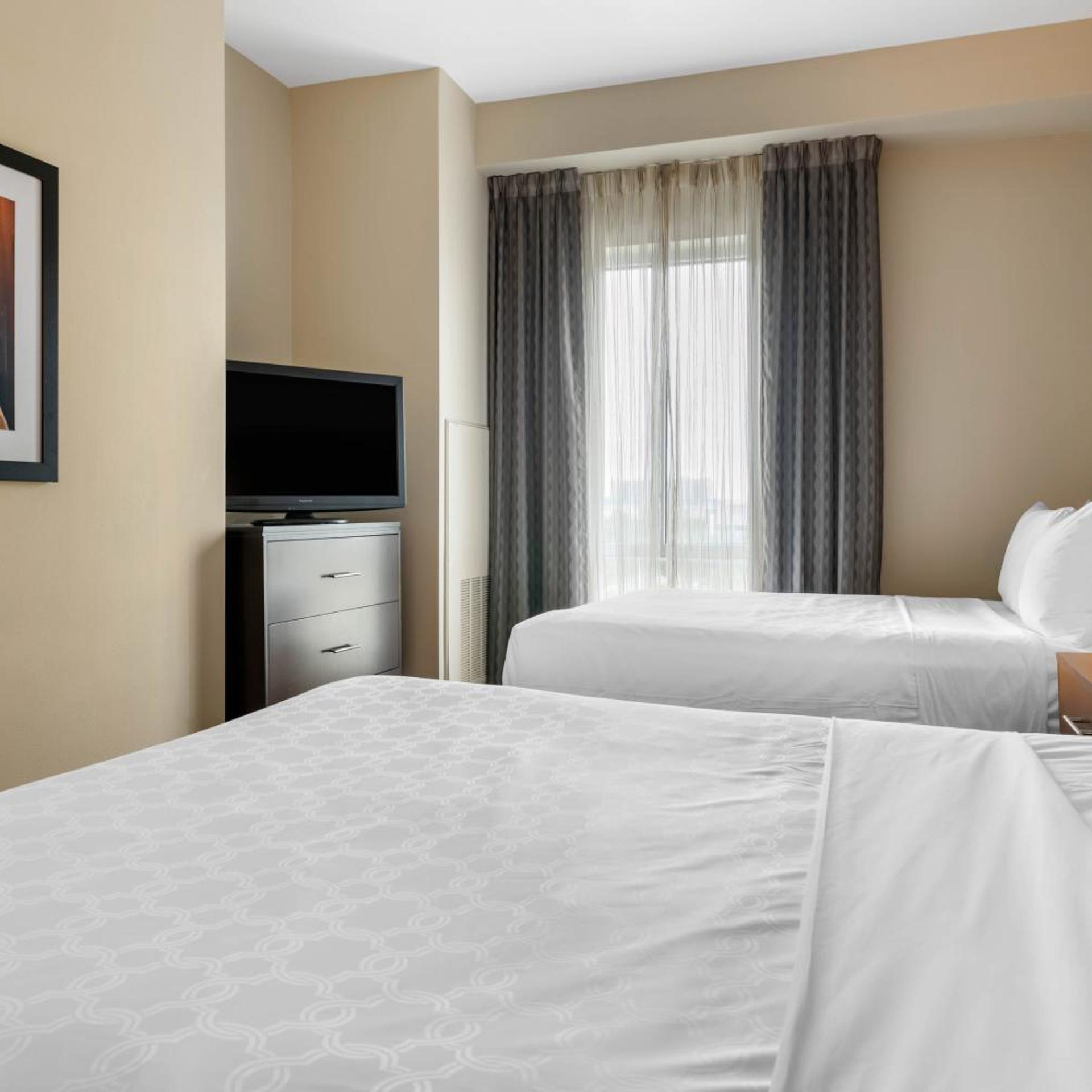 staybridge suites st petersburg downtown by ihg