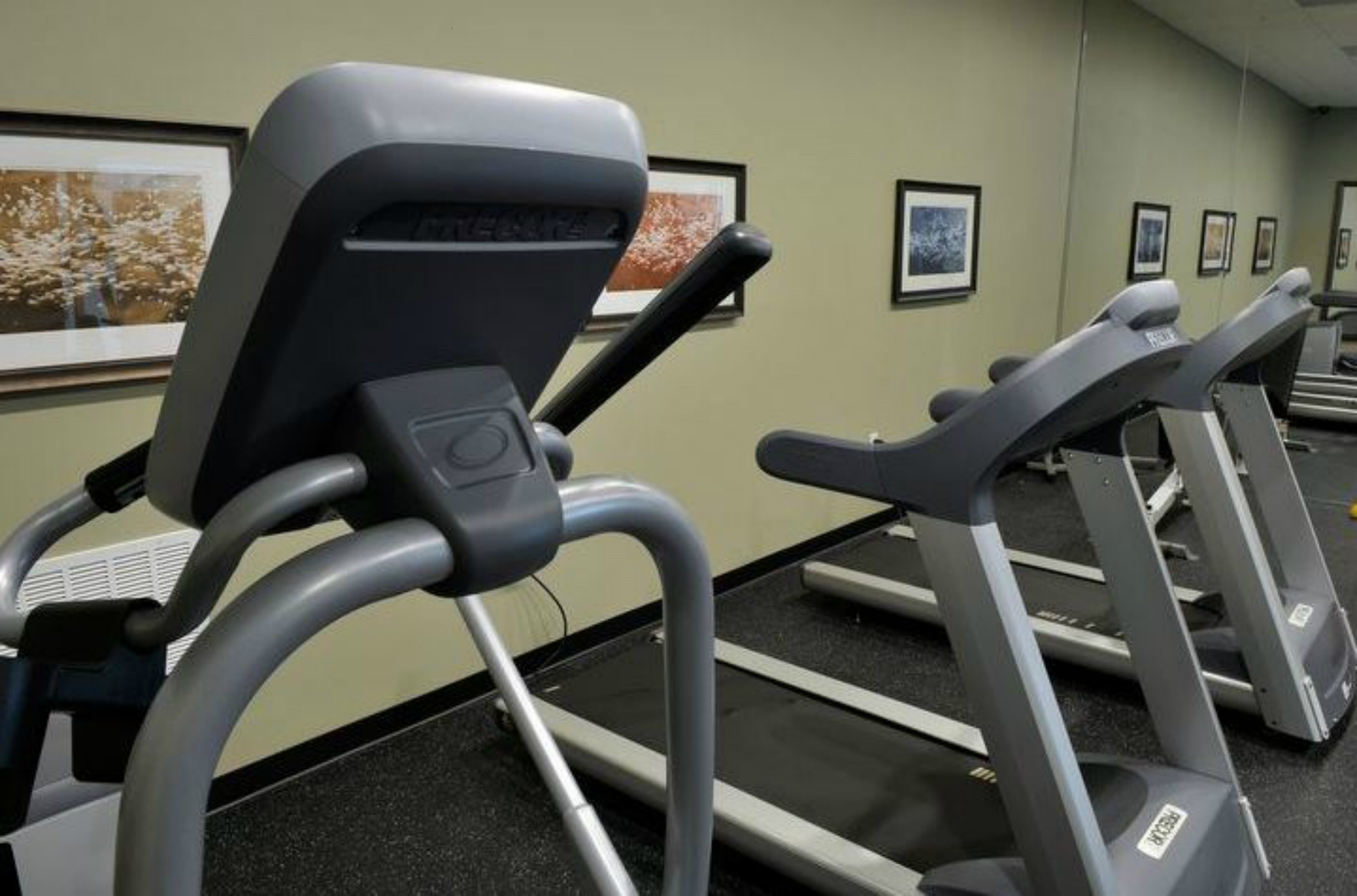 staybridge suites st petersburg downtown by ihg