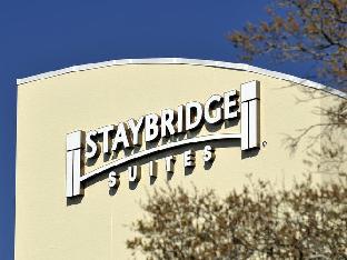 staybridge suites st petersburg downtown by ihg