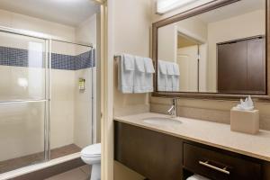 staybridge suites st petersburg downtown by ihg