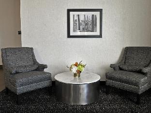 staybridge suites st petersburg downtown by ihg