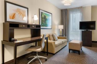 staybridge suites st petersburg downtown by ihg