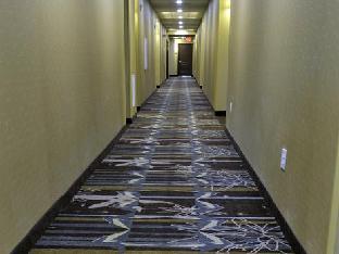 staybridge suites st petersburg downtown by ihg